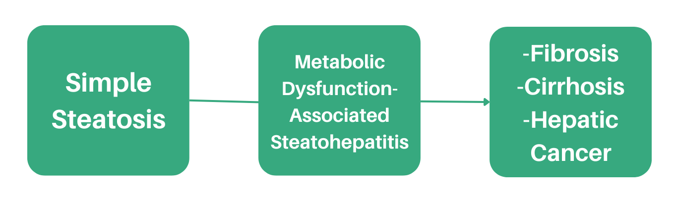 MASLD encompasses several different liver diseases and stages of liver disease, from simple steatosis to cirrhosis.