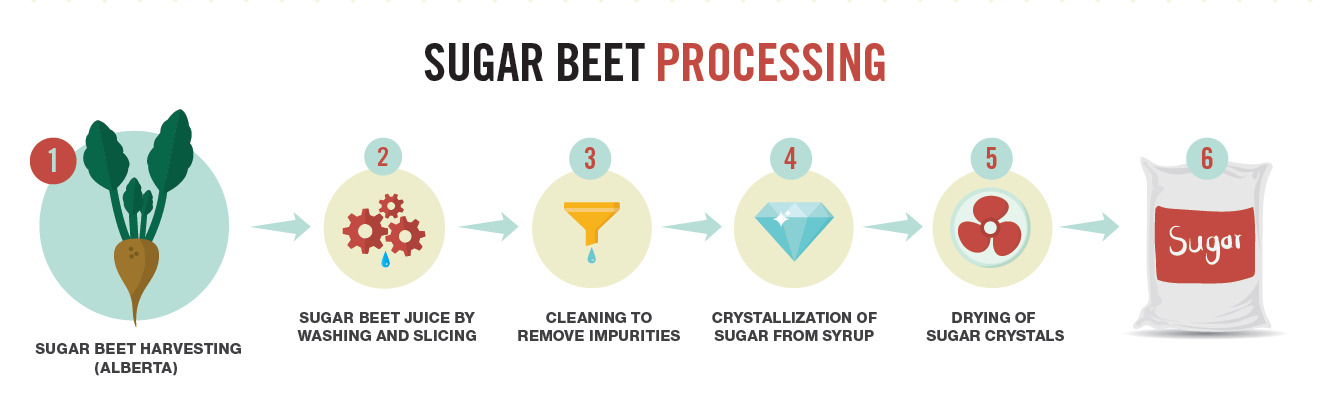 Steps in sugar beet processing to make sugar