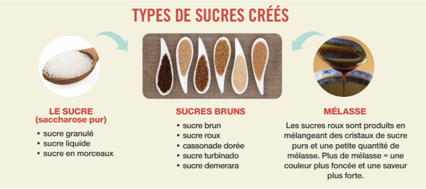 Types des sucres créés - le sucre, sucres bruns, et mélasse 