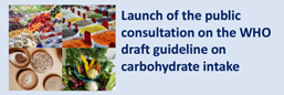Launch of the public consultation on the WHO draft guideline on carbohydrate intake